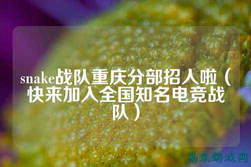 snake战队重庆分部招人啦（快来加入全国知名电竞战队）