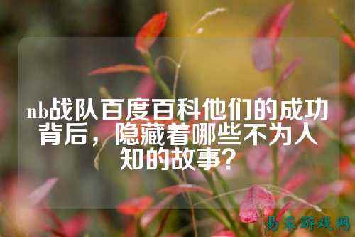nb战队百度百科他们的成功背后，隐藏着哪些不为人知的故事？