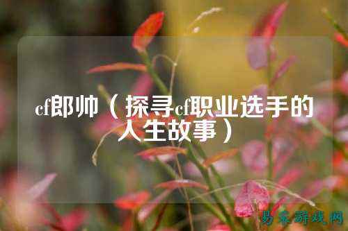 cf郎帅(探寻cf职业选手的人生故事)