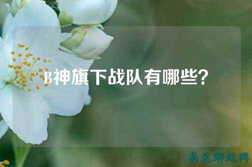 B神旗下战队有哪些？