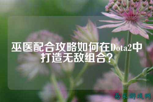 巫医配合攻略如何在Dota2中打造无敌组合?