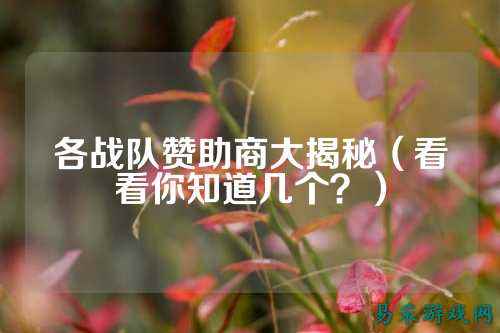 各战队赞助商大揭秘（看看你知道几个？）