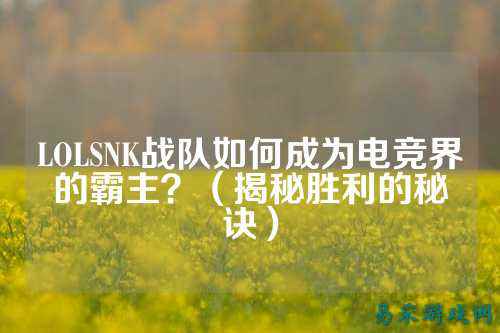 LOLSNK战队如何成为电竞界的霸主?(揭秘胜利的秘诀)