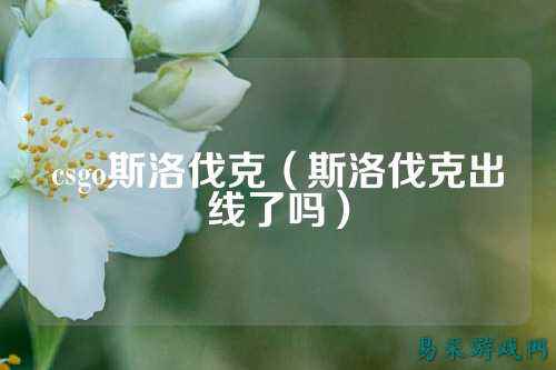csgo斯洛伐克(斯洛伐克出线了吗)