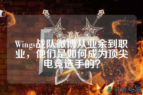 Wings战队微博从业余到职业，他们是如何成为顶尖电竞选手的？