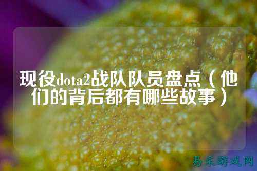 现役dota2战队队员盘点（他们的背后都有哪些故事）