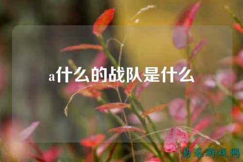 a什么的战队是什么