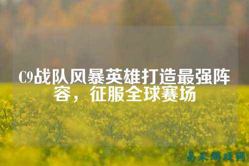 C9战队风暴英雄打造最强阵容，征服全球赛场