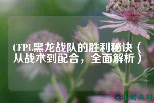 CFPL黑龙战队的胜利秘诀(从战术到配合,全面解析)