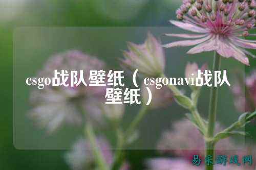 csgo战队壁纸(csgonavi战队壁纸)