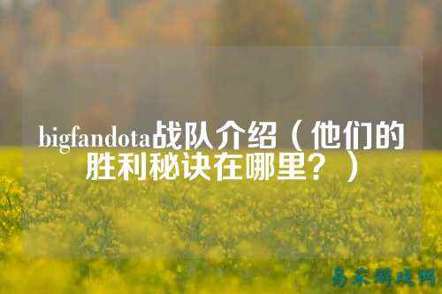 bigfandota战队介绍（他们的胜利秘诀在哪里？）