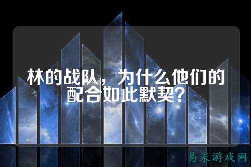 林的战队，为什么他们的配合如此默契？