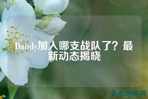 Dandy加入哪支战队了？最新动态揭晓
