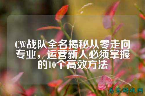 CW战队全名揭秘从零走向专业，运营新人必须掌握的10个高效方法