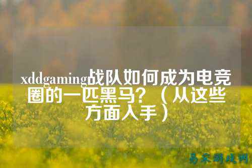 xddgaming战队如何成为电竞圈的一匹黑马？（从这些方面入手）