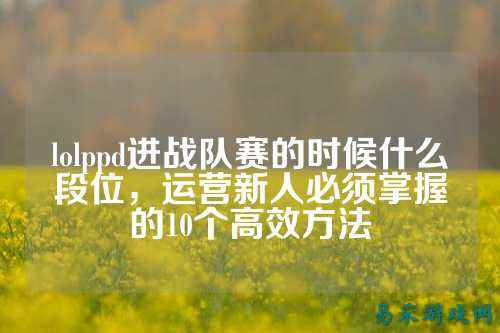 lolppd进战队赛的时候什么段位,运营新人必须掌握的10个高效方法