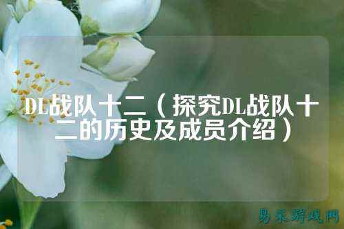 DL战队十二（探究DL战队十二的历史及成员介绍）