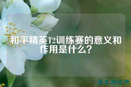 和平精英T2训练赛的意义和作用是什么?
