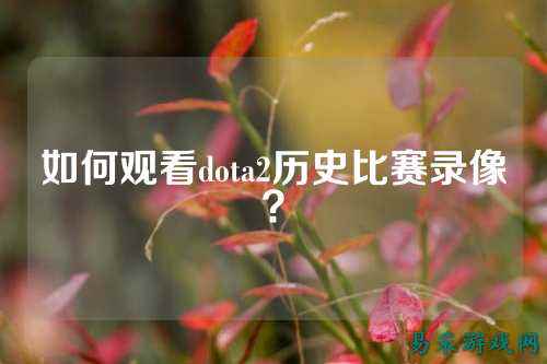 如何观看dota2历史比赛录像?