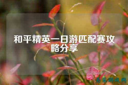 和平精英一日游匹配赛攻略分享