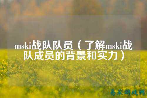 mski战队队员（了解mski战队成员的背景和实力）