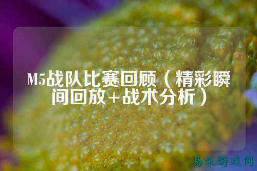 M5战队比赛回顾（精彩瞬间回放+战术分析）