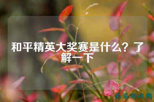 和平精英大奖赛是什么？了解一下