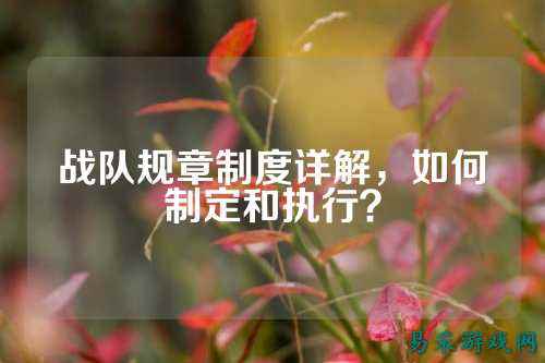 战队规章制度详解，如何制定和执行？