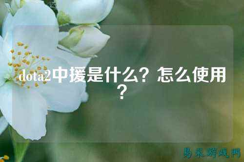 dota2中援是什么?怎么使用?