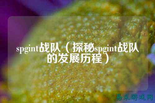 spgint战队（探秘spgint战队的发展历程）