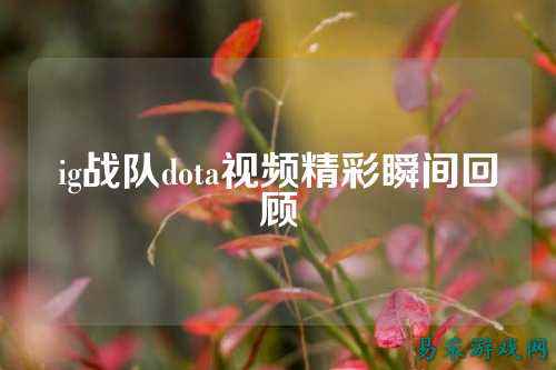 ig战队dota视频精彩瞬间回顾
