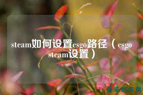 steam如何设置csgo路径(csgosteam设置)