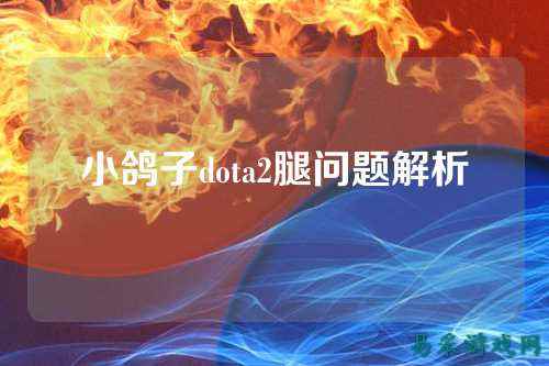 小鸽子dota2腿问题解析