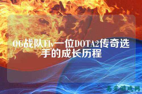 OG战队Fly一位DOTA2传奇选手的成长历程