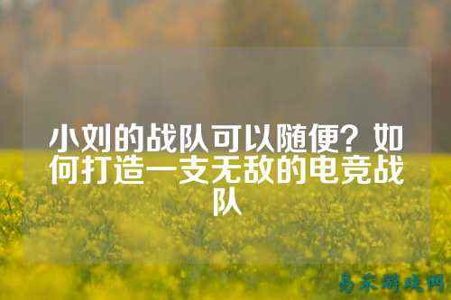 小刘的战队可以随便？如何打造一支无敌的电竞战队