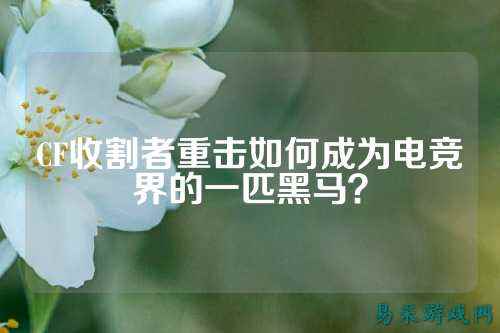 CF收割者重击如何成为电竞界的一匹黑马?