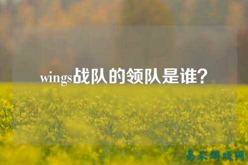 wings战队的领队是谁？