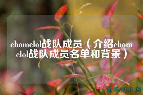 ehomelol战队成员（介绍ehomelol战队成员名单和背景）