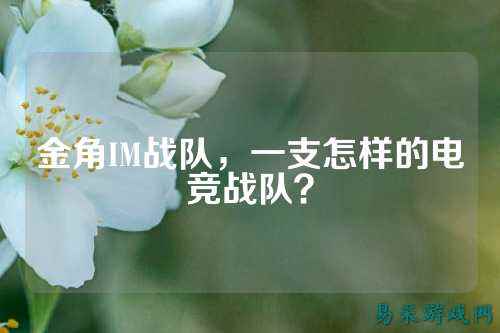 金角IM战队，一支怎样的电竞战队？