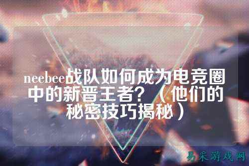 neebee战队如何成为电竞圈中的新晋王者？（他们的秘密技巧揭秘）