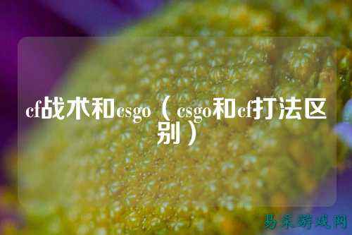 cf战术和csgo（csgo和cf打法区别）