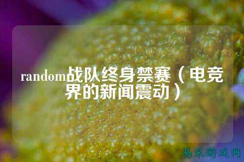 random战队终身禁赛（电竞界的新闻震动）