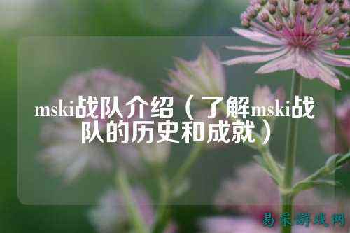 mski战队介绍（了解mski战队的历史和成就）