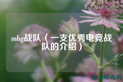 mbg战队（一支优秀电竞战队的介绍）