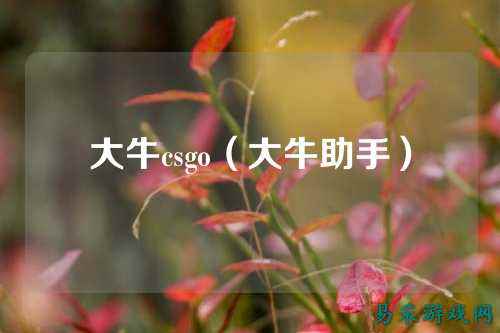 大牛csgo（大牛助手）
