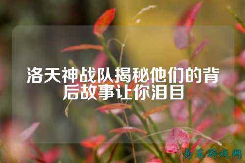 洛天神战队揭秘他们的背后故事让你泪目