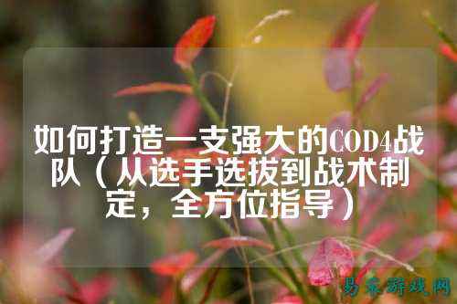 如何打造一支强大的COD4战队（从选手选拔到战术制定，全方位指导）