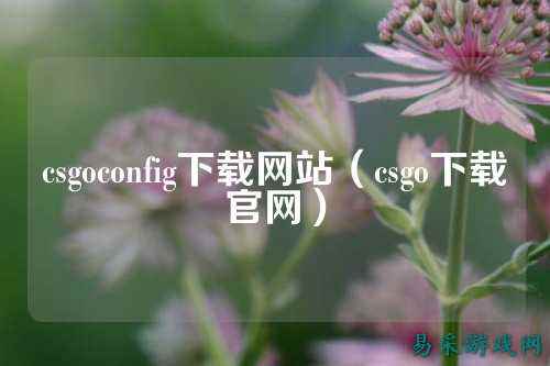 csgoconfig下载网站（csgo下载官网）