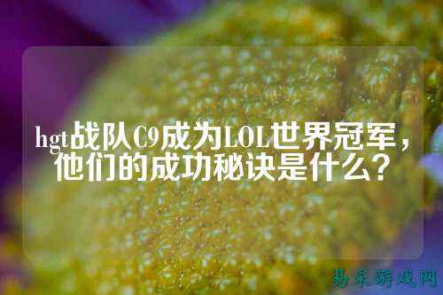 hgt战队C9成为LOL世界冠军，他们的成功秘诀是什么？