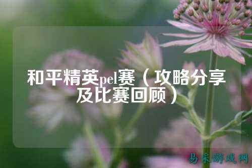 和平精英pel赛（攻略分享及比赛回顾）